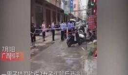 广西桂平爆料案件最新,案情揭秘，真相渐浮水面