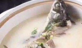 落汤鱼最新爆料视频大全,揭秘幕后真相，精彩瞬间大盘点